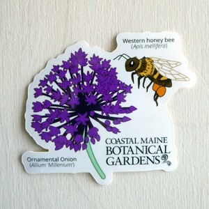 ALLIUM AND BEE CMBG LOGO STICKER
